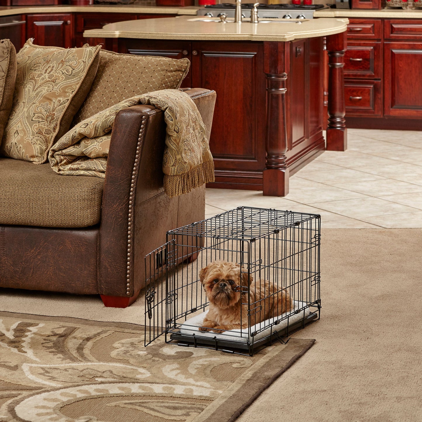 Newly Enhanced Lifestages 24' Single Door Folding Metal Dog Crate with Divider Panel, Floor Protecting Feet, Leak-Proof Dog Pan, 1624, 24L X 18W X 19H Inches, Small Dog Breed